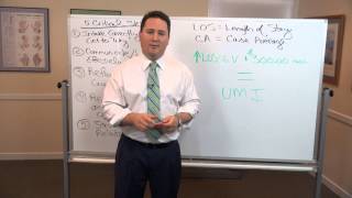 Profit Fuel: The modern Chiropractic Business Model