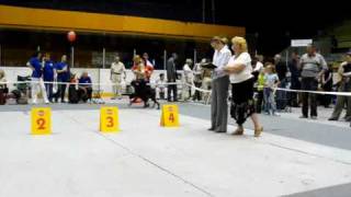 CACIB ЧЕЛЯБИНСК*09 откр кл. сука