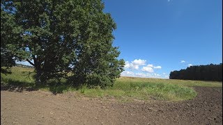 ВТОРОЕ ЗОЛОТО СЕЗОНА!!! 3 коротких выезда,коп 2017,август.