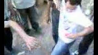 tabani's chicho0rey picnic