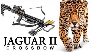 50 метров - Арбалет JAGUAR II  "пролог"