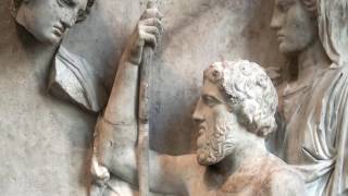 RAIN Italia - Nutrizione a base di semi - La storia dei semi