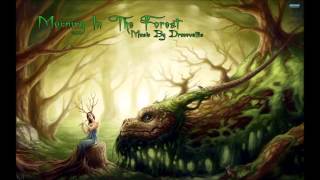 Dracovallis - Morning In The Forest (Celtic Music)