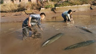 600条鱼放在鱼塘里养，4年后把水放干，看有多少鱼，这是赚了还是亏了？
