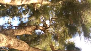Macklan Gridley   VIDEO0085