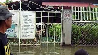 0681,wawa, malaban Binan, laguna