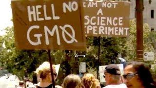 Are Republicans or Democrats More Anti-Science?
