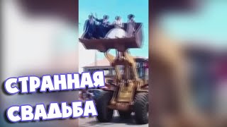 Странная свадьба | Подборка Приколов [BugagaTV]