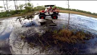 NEW YEARS DAY BUGGY RIDE CORBETT