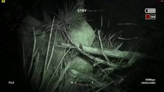 Outlast 2 FX 6300 RX 460 HD Gameplay in the woods