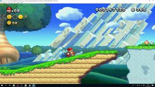 wiiu New SUPER MARIO BROS U invelcible