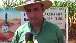 Dia de Campo DuPont Pioneer em Sapezal Mato Grosso BAND SAPEZAL