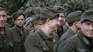 The Allies advance in Normandy & the German army was annihilated