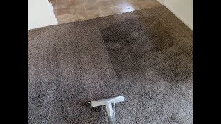 Most FILTHY Satisfying Carpet cleaning video