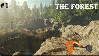 НЕ СУРОВОЕ ВЫЖИВАНИЕ В The Forest