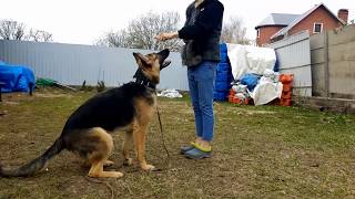 Качаем поясницу