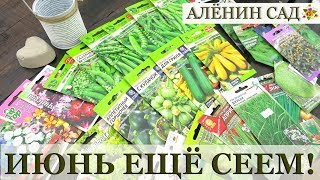 Что можно посеять в июне / Какие цветы и овощи посеять в июне