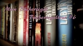 [Mein Bücherregal] Bücherregaltour #6