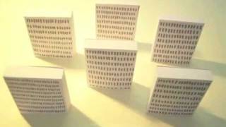 Mein Goethe Video 2011