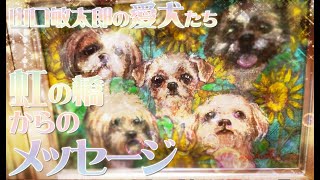 愛犬感動話　虹の橋からメッセージ、山口敏太郎男泣き　ATL3rd 130