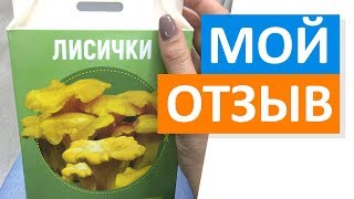 Отзыв на выращивание грибов дома в Грибной ферме