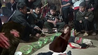 Hmoob ua Dab qhuag - pom dab tawm lawm tiag - 2020.#,,