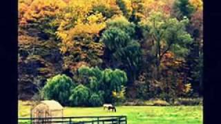 INDIAN SUMMER ~ POCO