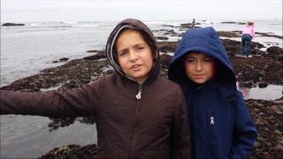 Прогулка по дну Тихого океана / Walking at the bottom of the Pacific Ocean