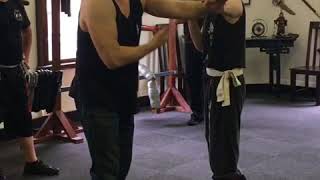 T-step with Bil sao (Thrusting hand) Jing tek (Straight kick) cross arm position.