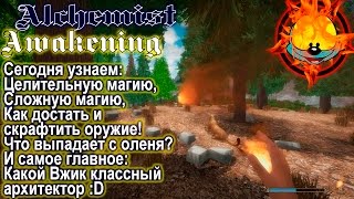 Alchemist Awakening #2 | Магия лечения, дом и прочие полезности!