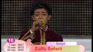 Zulfu Seferli