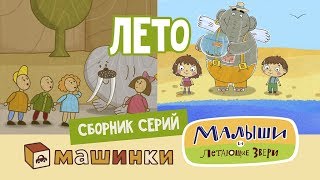 Сборник Лето - Серии Малышей и Машинок! Развивающий мультфильм для детей