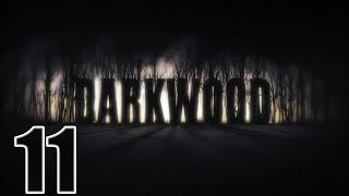 Прохождение Darkwood Серия 11 "Птичница, музыкант и колодец"