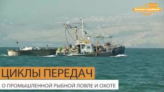 Охотник и рыболов HD