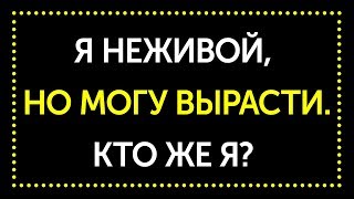 30 любопытных загадок, которые докажут, что вы гений