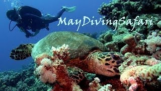 Морская соль