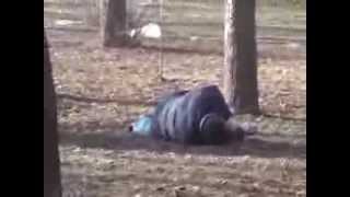 Consequences of the battle in Mariinsky Park EuroMaidan! Kiev Ukraine