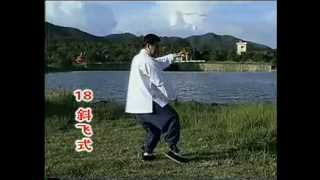 2. 正宗楊氏85式太極拳傅清泉 Authentic Yang Style Taichi 85 Form Fu Qingquan