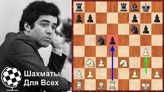 Шахматы. Гарри Каспаров. Сумасшедшая АГРЕССИЯ действующего Чемпиона Мира!
