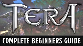 A beginners guide to TERA - 2019