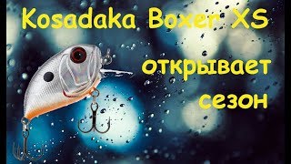 Ловля щуки на Kosadaka Boxer,АНТИБРАК,MANN'S,HDX 5