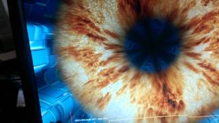 GTX 980 Hall Of Fame 1455mhz factory overclock