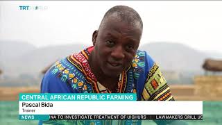 Organic farming gets rooted in Central African Republic