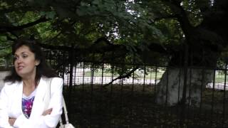 Сколько лет липе?