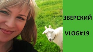 VLOG#19 Ревнивая коза/Привет из детства/Любаша в трусиках