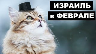 ИЗРАИЛЬ ЗИМОЙ | Израиль зимой за неделю | Израиль сегодня