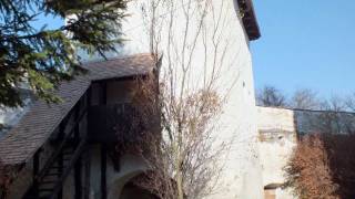 Wild Carpathia #1