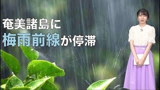 奄美諸島に梅雨前線が停滞 大雨に要警戒
