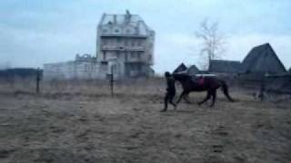Natural Horsemanship, jumping, stunt