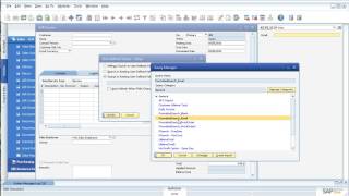 SAP Business One Formatted Search